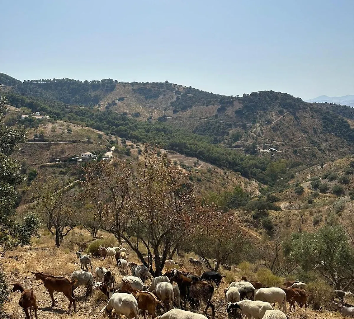Andalusian Holiday Cottage La Cuadra 马拉加